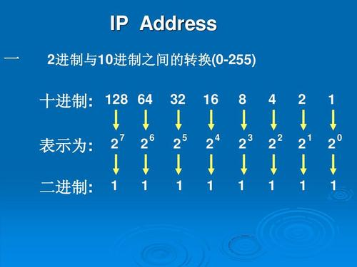 站群服務(wù)器ip分配